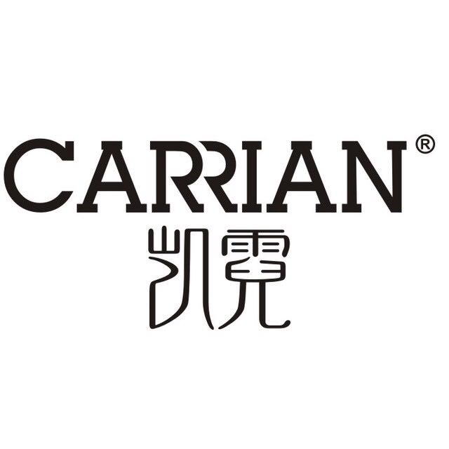 CARRIAN洗衣片